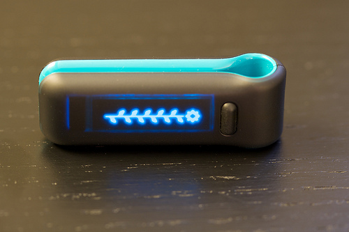 fitbit1 http://www.flickr.com/photos/jalm1/4270870194/